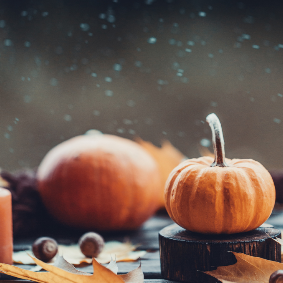 Embracing October Wisdom and the Beauty of Letting Go