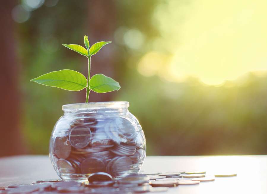 Book Review: Money Manifestation Mastery – Lara Waldman