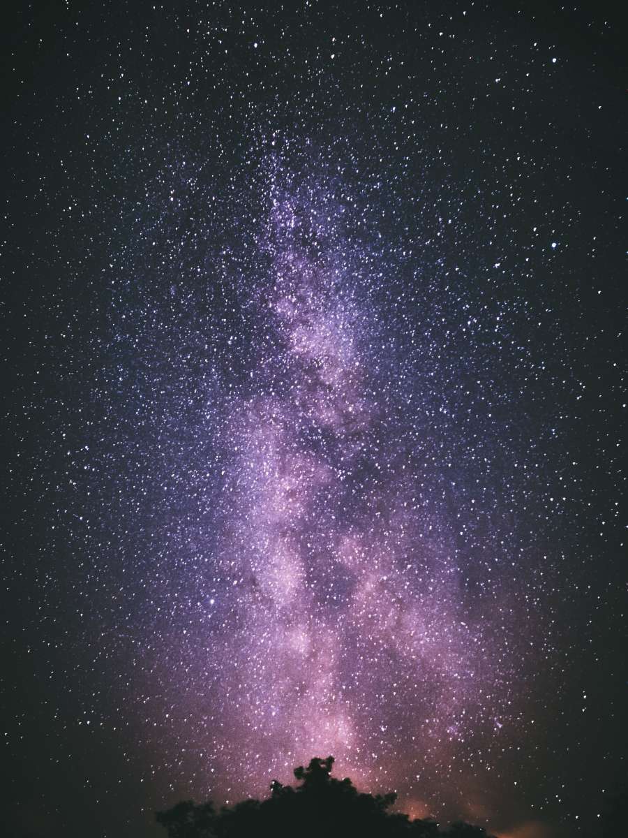 The fate of 2020 is written in the stars